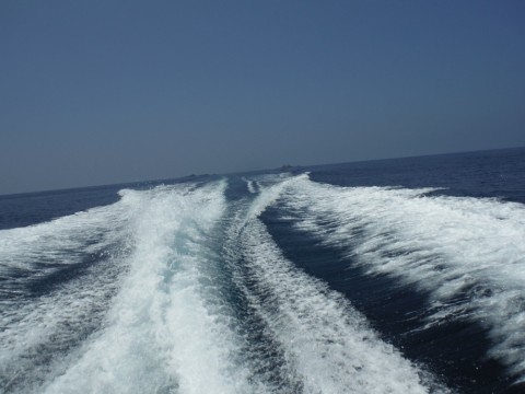 ztbgo9b984izspjr2f85_920_690-c746520b.jpg