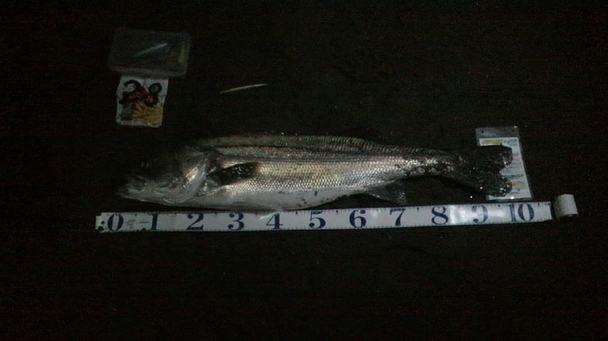 100cm