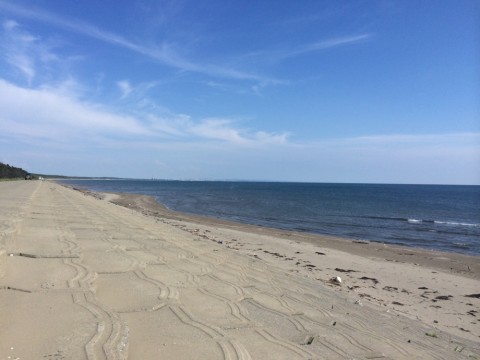 225api5zfxasjfek98fs_920_690-0870f9cd.jpg