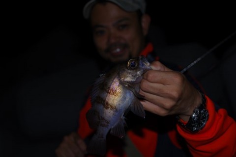 22bof47u949jdwwrvk6p_480_480-c3d204a1.jpg
