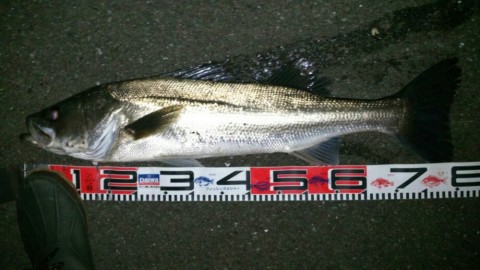 22p26u7excwfeuebyaah_920_518-630bf4ef.jpg