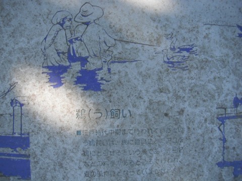 22u89awntyrmjctyunc8_480_480-5be05e3f.jpg