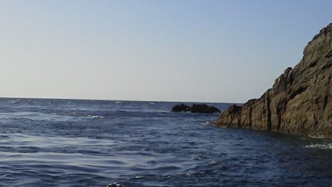 22x9vjm2pybomumwdssy_480_480-ad67a387.jpg