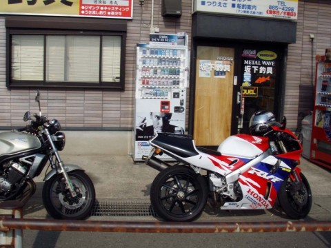 22zgdPAOruiuHdyOd2J2_480_480-797c374d.jpg