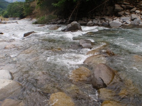 233ixvfp49ihdv7jku5o_480_480-eac5c548.jpg