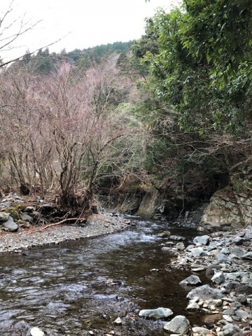 23454fnydfzowisrz9jt_480_480-4864e443.jpg