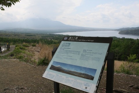 234aae54b7juyesm3hcx_480_480-5162ab0c.jpg