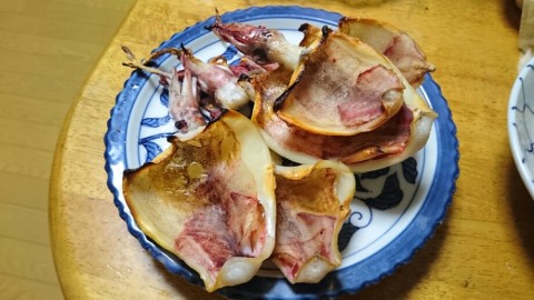 23ae8n9bzbnb6hmwoaxt_920_518-026d5863.jpg