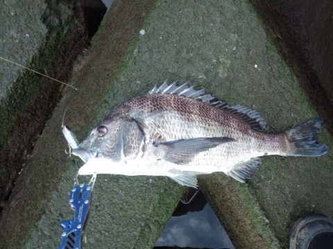 23bth8849uf8626nftbx_920_690-040106bd.jpg