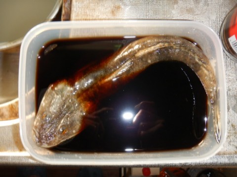 23eyotuha2ky9avn6gp2_480_480-7d4e332c.jpg
