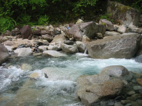 23ojs8mbvw4jj6e3yvfg_480_480-5cadfb0c.jpg