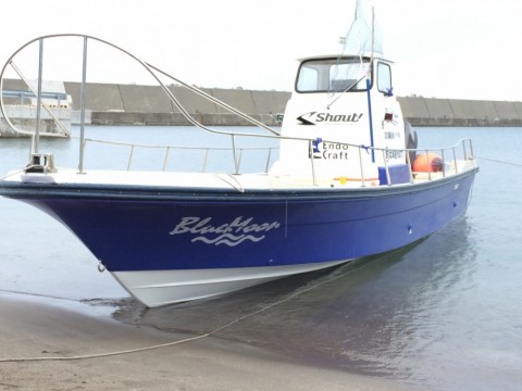23s6okdr434ax6zikpjc_480_480-3a8d8ccc.jpg