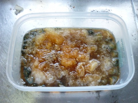 249jgeyorrjmupaja24w_480_480-2d92e409.jpg