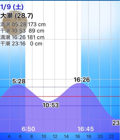 24d9y3pa46niabbz54pg_786_920-58d58bac.jpg