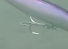24m5v369jrmvyi9vj5k2-fa39f4c7.png