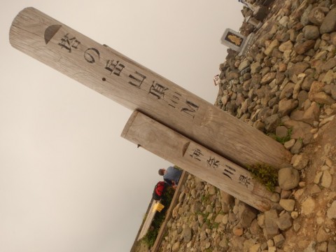 24nix5r6must3f6kkue5_480_480-2a4fdee2.jpg