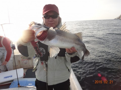 24podkyn87ygepigcpty_480_480-37b915dd.jpg
