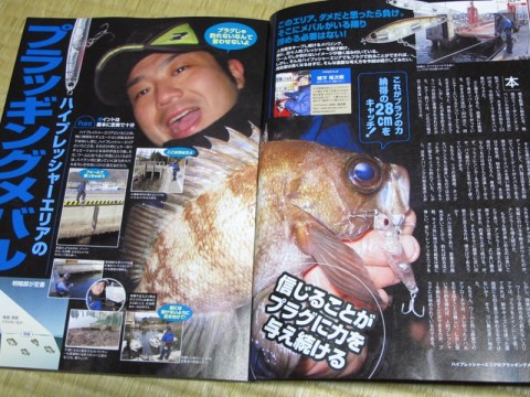 24xcs6be346mprcy5re2_480_480-5214f7d6.jpg