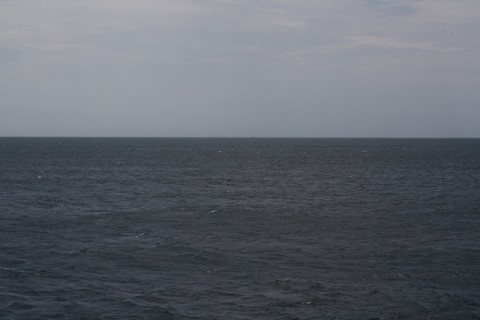 25akwn5h6xuvoaxewzc4_480_480-31729eb1.jpg