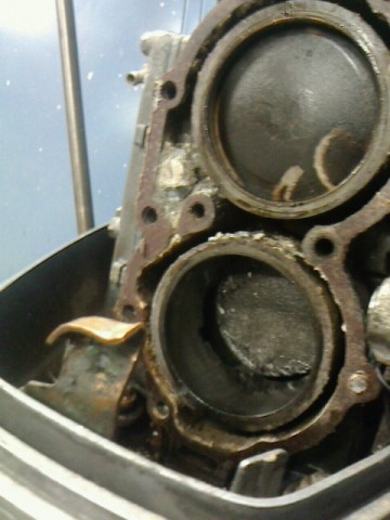 25f77womkr8sembrgw5x_480_480-0982182c.jpg