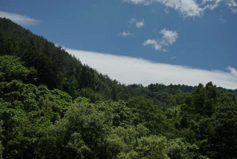 25kka5x23dvgjuaconhe_480_480-4c2b2b8b.jpg