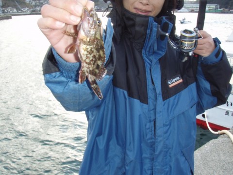 25uZb79FxdTGEEOKddMW_480_480-037cadf7.jpg