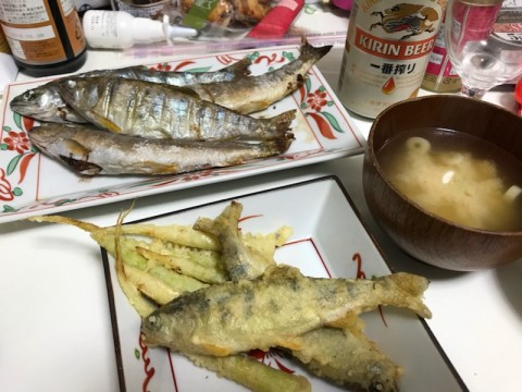 25yejhoi6u7a4r4vgik5_480_480-0f391523.jpg