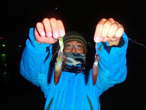 25ysk2p4vsut9rndhtg3_480_480-1b509566.jpg
