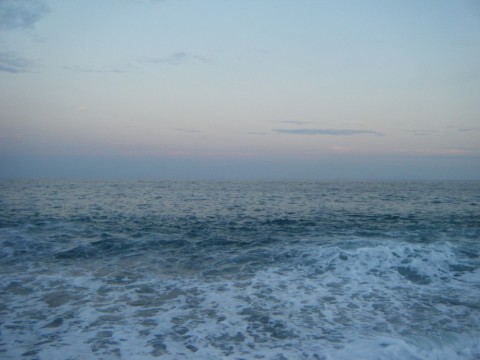 26djewrux9ozy7ymnzrb_480_480-316367b0.jpg