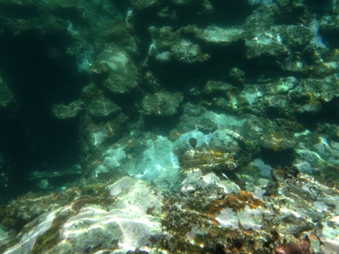 26gws8j7bpjpjghbamdg_920_690-6fecb5af.jpg
