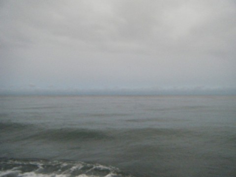 26hjfawroro5ko93ycxy_480_480-e6e2394e.jpg