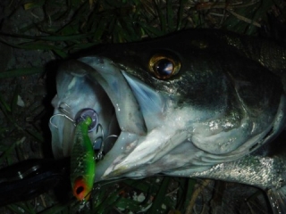 26ohhs2dak6n4hn2avrp-794bfa84.jpg