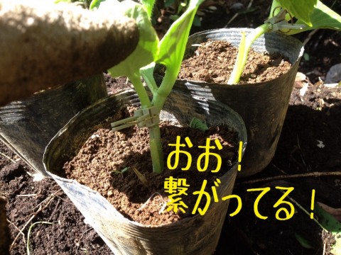 26tt6nf5esx7uxo27tvg_920_690-5f8cce48.jpg