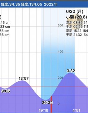 26tti6ms4kjph256dmv4_376_480-03b01219.jpg