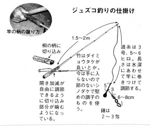 272ffyvphnwrtfp3xbkm_480_480-c6450a08.jpg