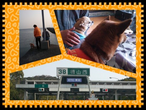 274dx9wk93fa6e4kg5vv_675_506-a58d792b.jpg
