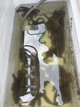 274ndowyz5cyxydsukxi_360_480-54ccc5e0.jpg