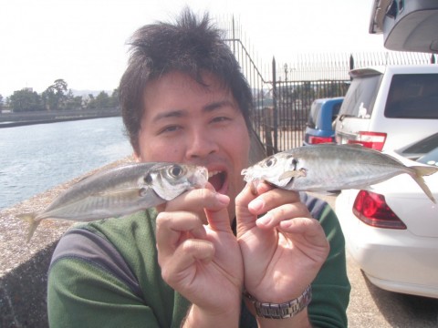27dtuthfkyhbmexy4zbh_480_480-a9d46852.jpg