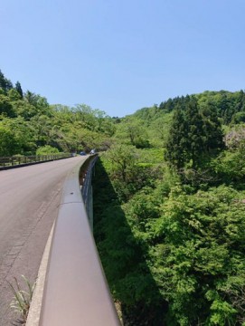 27sk6agrk6nfshhnof48_361_480-adee89f0.jpg