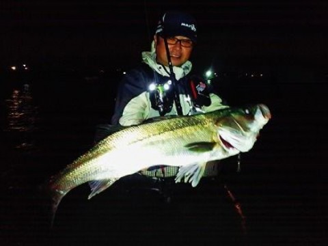 27t8dju222ono5yhewve_920_690-28f11663.jpg