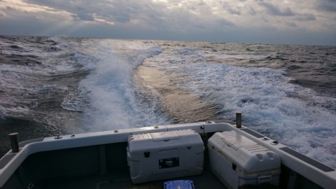 282m3su36p2xn5o5575m_920_518-0f300c9b.jpg