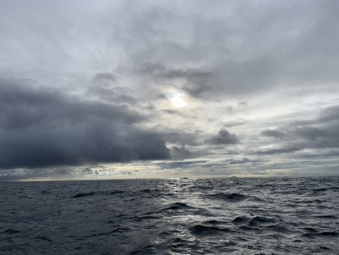 28d6kh4ham8kg6sw7cvi_480_361-28c000c4.jpg