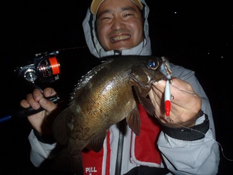 28dpkjv8655k2vffacae_480_480-8a4da9f0.jpg