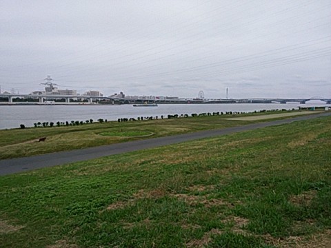 293cc5o5iso3wi52t3cs_480_480-c909a50e.jpg