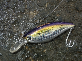 296cazexd3c9mwa5tua2-979e2a6d.jpg