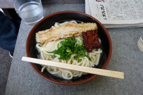 2WBFWyPZgWRmQcsNXhZV_480_480-2c3c19c2.jpg