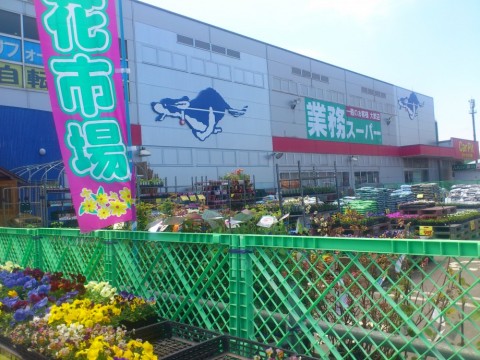 2a46bm3p5aee5unoepu7_480_480-999b0dbd.jpg