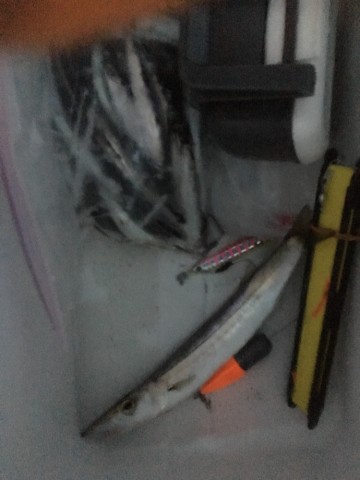 2a4wotopkj5ntah68n6w_690_920-e72c04b0.jpg