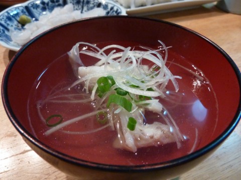 2at2k8k4xi94v28t8ky6_480_480-f2633087.jpg