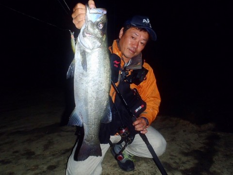 2at8m8prw2ps7k4sic3d_480_480-d7f5d4cd.jpg